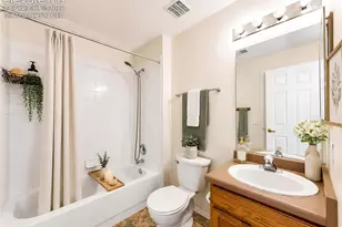 3875 Strawberry Field Grove, Colorado Springs, CO 80906 - Photo 20