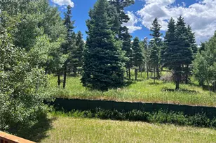 87 Thompson Rd, La Veta, CO 81055 - Photo 4