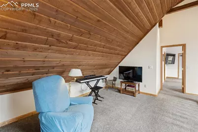 200 Sun Ridge Court, Woodland Park, CO 80863 - Photo 30
