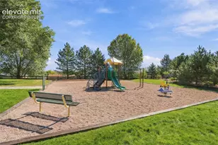 7695 Whiptail Point, Colorado Springs, CO 80922 - Photo 46
