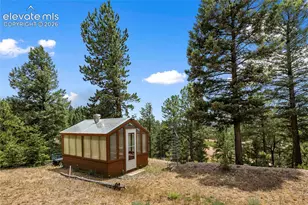 185 Bear Lake Cir, Divide, CO 80814 - Photo 42