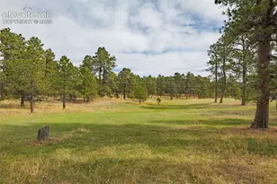 13354 N Meridian Rd, Elbert, CO 80106 - Photo 26