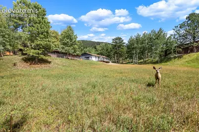 1035 Park View Road, Woodland Park, CO 80863 - Photo 2