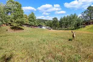 1035 Park View Rd, Woodland Park, CO 80863 - Photo 2