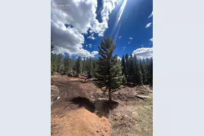 1570 Pathfinder Road, Florissant, CO 80816 - Photo 6