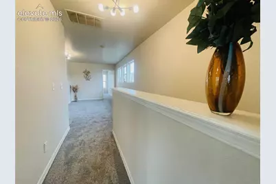 7721 Crestone Peak Trail, Colorado Springs, CO 80924 - Photo 24