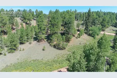 787 Spring Valley Lane, Florissant, CO 80816 - Photo 1