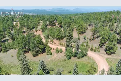787 Spring Valley Lane, Florissant, CO 80816 - Photo 12