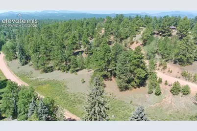 787 Spring Valley Lane, Florissant, CO 80816 - Photo 4