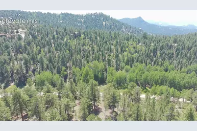 787 Spring Valley Lane, Florissant, CO 80816 - Photo 16