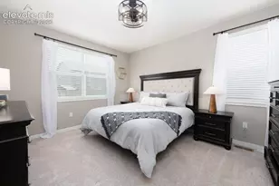 16474 Alpine Sorrel Dr, Monument, CO 80132 - Photo 16