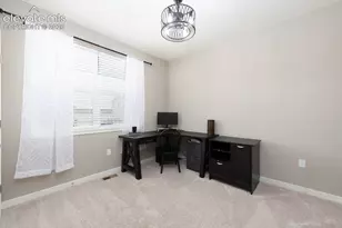 16474 Alpine Sorrel Dr, Monument, CO 80132 - Photo 22