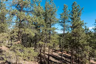 457 Stonehenge Dr, Florissant, CO 80816 - Photo 38