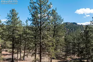 457 Stonehenge Dr, Florissant, CO 80816 - Photo 36