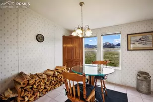 463 Snowshoe Ln, Lake George, CO 80827 - Photo 20