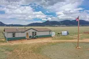 463 Snowshoe Ln, Lake George, CO 80827 - Photo 2