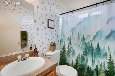 463 Snowshoe Lane, Lake George, CO 80827 - Photo 30