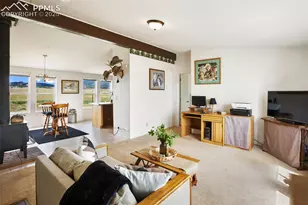 463 Snowshoe Ln, Lake George, CO 80827 - Photo 12