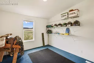 463 Snowshoe Ln, Lake George, CO 80827 - Photo 36
