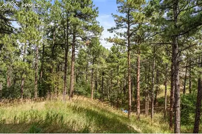 17 Midland Road, Colorado Springs, CO 80906 - Photo 38
