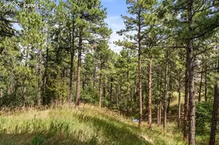 17 Midland Rd, Colorado Springs, CO 80906 - Photo 38