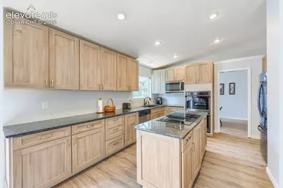 8140 Lythrum Drive, Colorado Springs, CO 80920 - Photo 10
