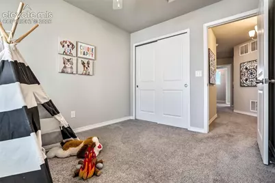 4511 Samaritan Loop, Colorado Springs, CO 80916 - Photo 38