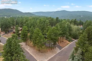 1400 Eagle Trace Ct, Woodland Park, CO 80863 - Photo 36
