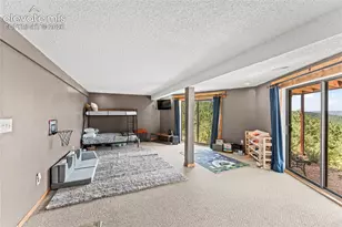 102 Douglas Fir Ln, Woodland Park, CO 80863 - Photo 30
