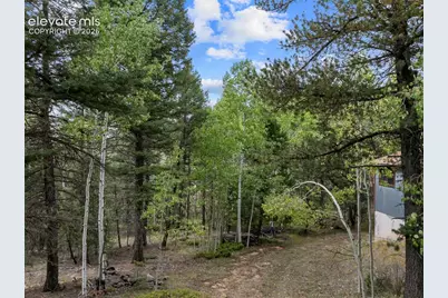 1028 Beaver Creek Drive, Florissant, CO 80816 - Photo 12