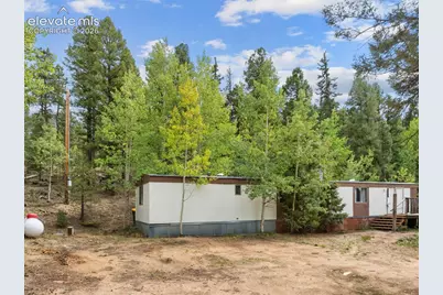 1028 Beaver Creek Drive, Florissant, CO 80816 - Photo 14