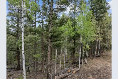 1028 Beaver Creek Drive, Florissant, CO 80816 - Photo 20