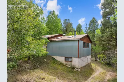 1028 Beaver Creek Drive, Florissant, CO 80816 - Photo 16