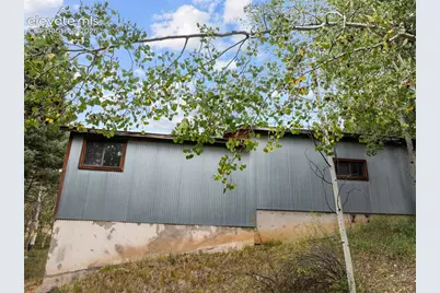 1028 Beaver Creek Drive, Florissant, CO 80816 - Photo 24