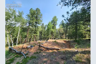 1076 Spring Valley Lane, Florissant, CO 80816 - Photo 40