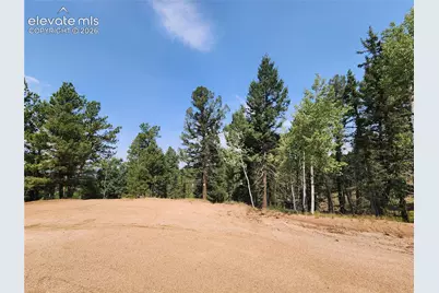 1076 Spring Valley Lane, Florissant, CO 80816 - Photo 28