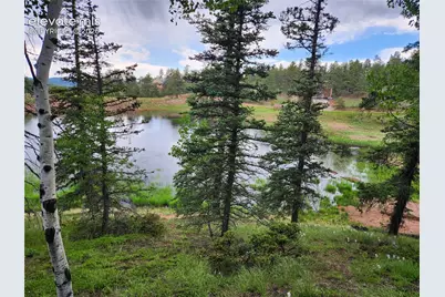 1076 Spring Valley Lane, Florissant, CO 80816 - Photo 8