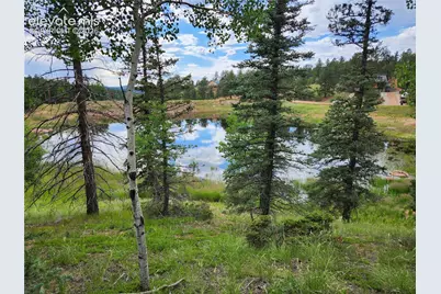 1076 Spring Valley Lane, Florissant, CO 80816 - Photo 10