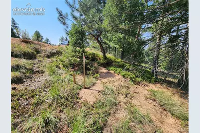 1076 Spring Valley Lane, Florissant, CO 80816 - Photo 32
