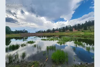 1076 Spring Valley Lane, Florissant, CO 80816 - Photo 24