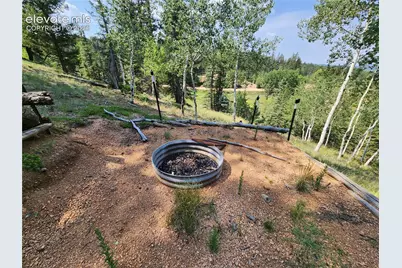 1076 Spring Valley Lane, Florissant, CO 80816 - Photo 38
