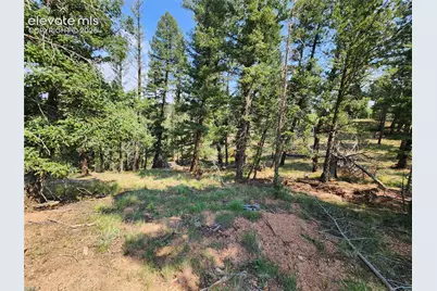 1076 Spring Valley Lane, Florissant, CO 80816 - Photo 30