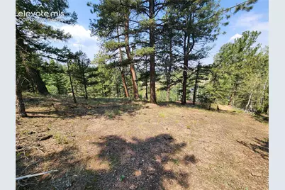 1076 Spring Valley Lane, Florissant, CO 80816 - Photo 34