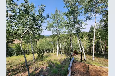 1076 Spring Valley Lane, Florissant, CO 80816 - Photo 38