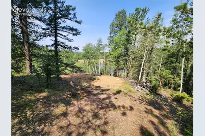 1076 Spring Valley Lane, Florissant, CO 80816 - Photo 36
