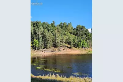 1076 Spring Valley Lane, Florissant, CO 80816 - Photo 22