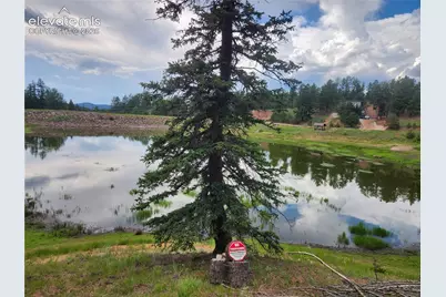 1076 Spring Valley Lane, Florissant, CO 80816 - Photo 26