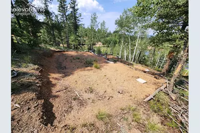 1076 Spring Valley Lane, Florissant, CO 80816 - Photo 36