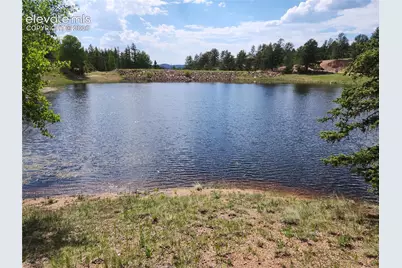 1076 Spring Valley Lane, Florissant, CO 80816 - Photo 14