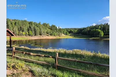 1076 Spring Valley Lane, Florissant, CO 80816 - Photo 20